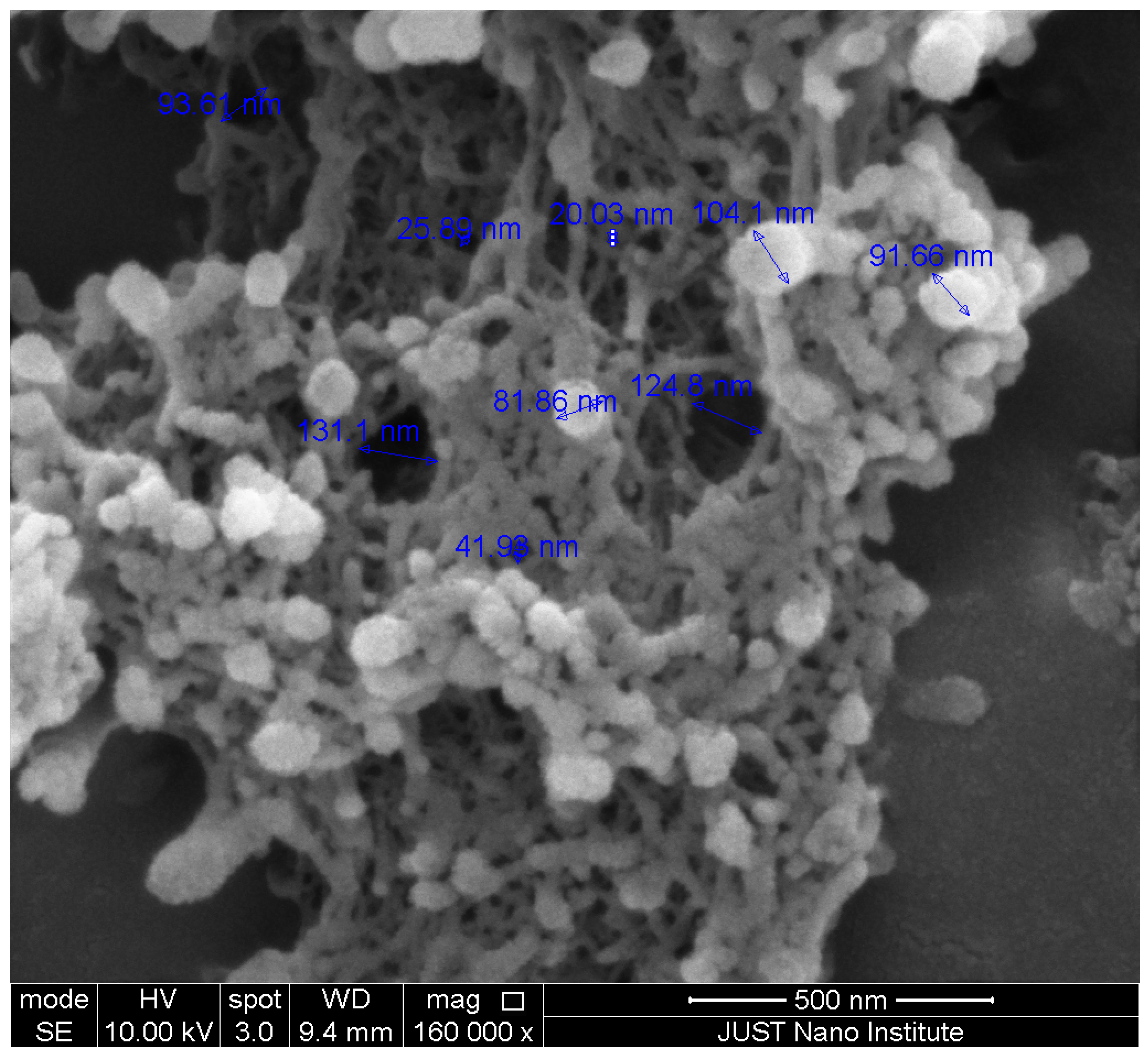 Polymers 17 00506 g005