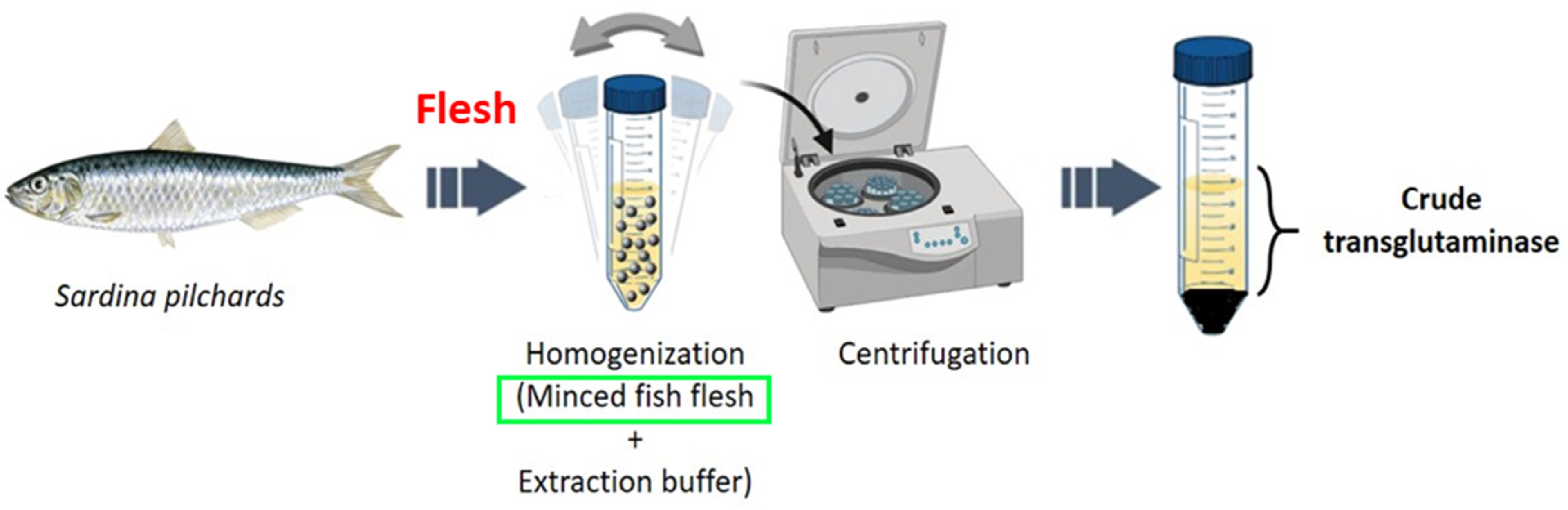Polymers 17 00510 g001 Polymers 17 00510 g001