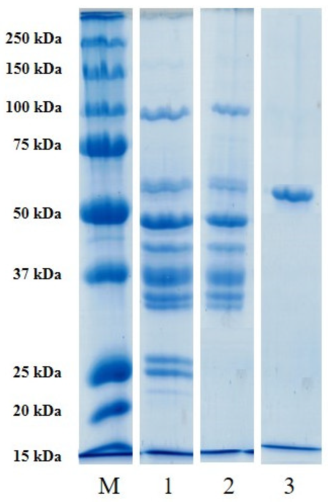 Polymers 17 00510 g004 Polymers 17 00510 g004