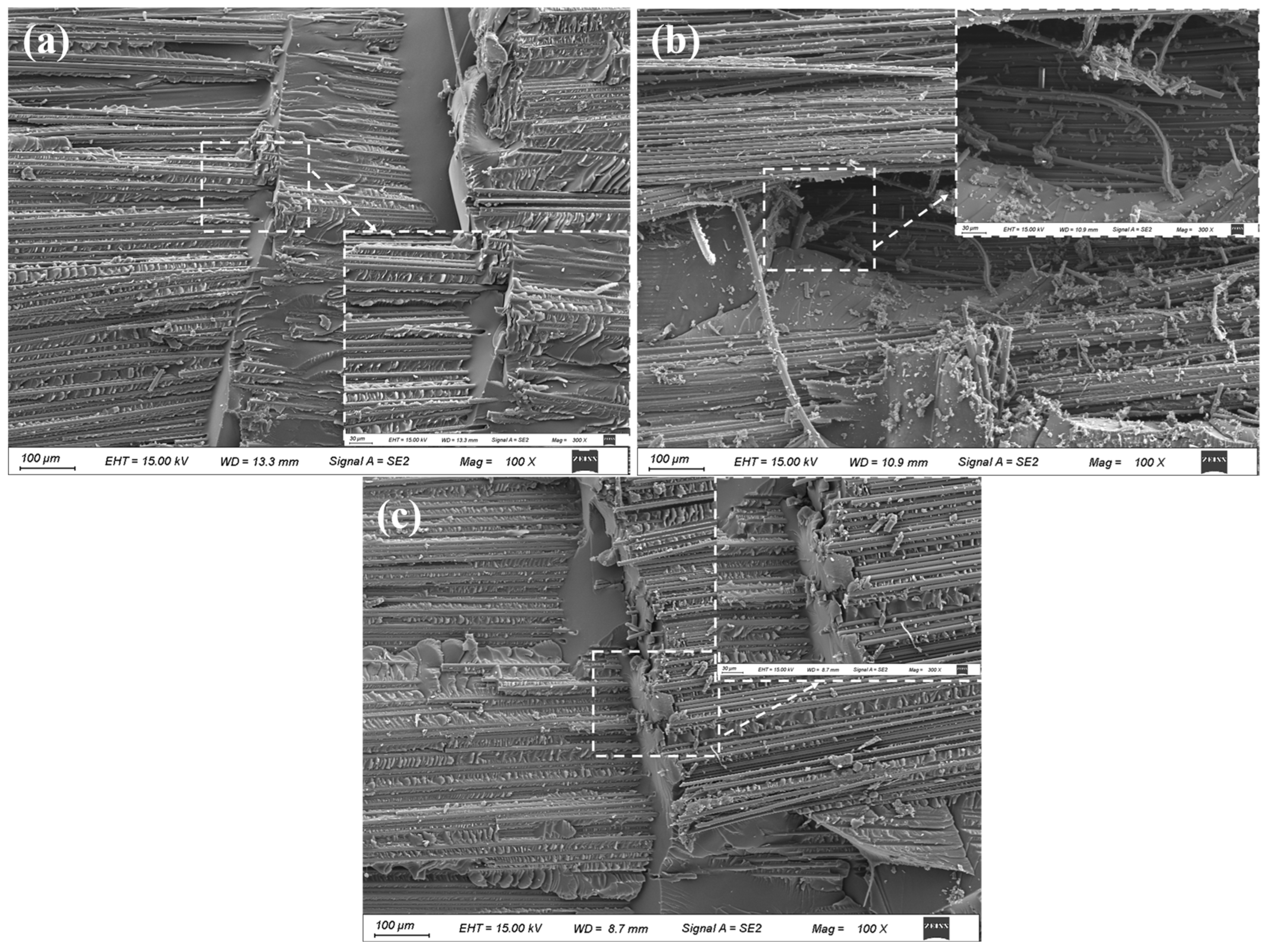 Polymers 17 00511 g013