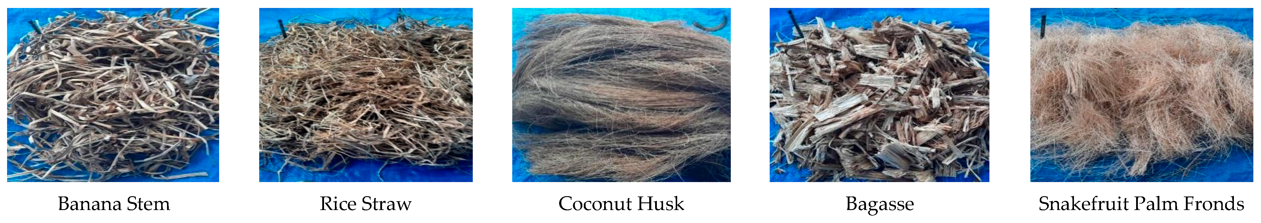 Polymers 17 00512 g001