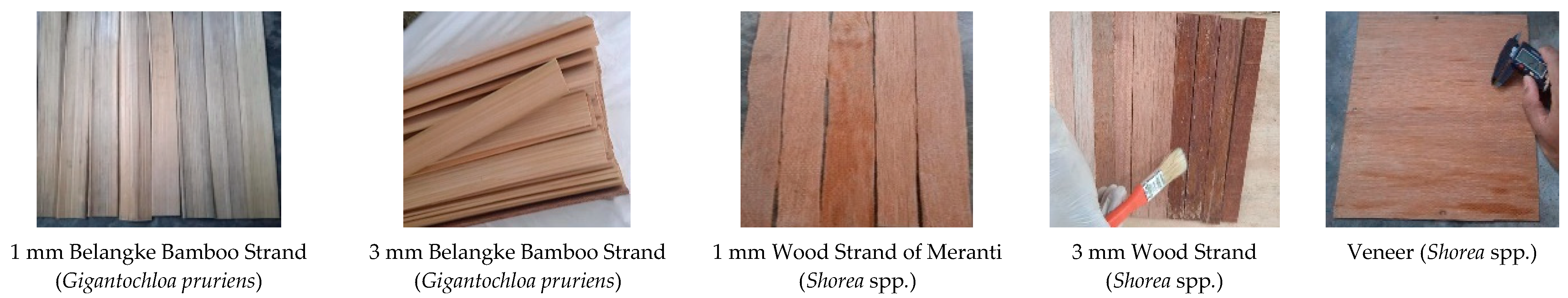 Polymers 17 00512 g002
