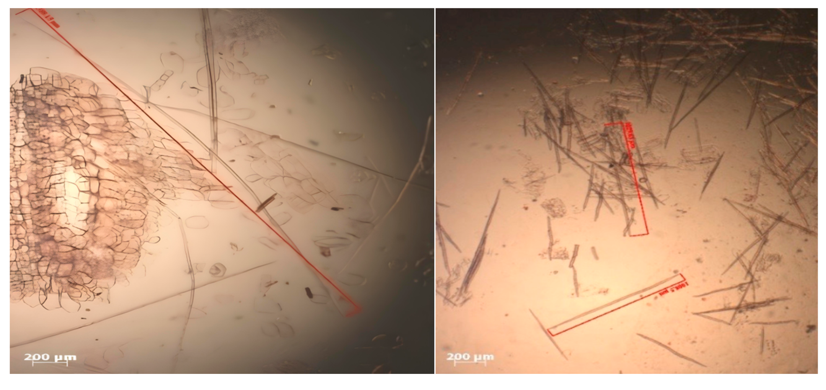 Polymers 17 00512 g011