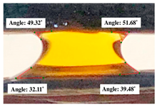 Polymers 17 00512 i002