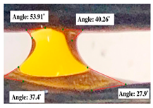 Polymers 17 00512 i003