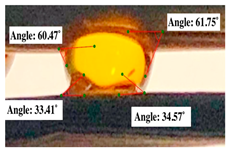 Polymers 17 00512 i004
