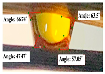 Polymers 17 00512 i006