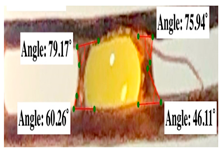 Polymers 17 00512 i007