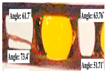 Polymers 17 00512 i009