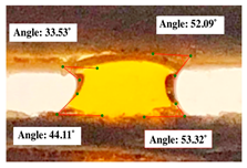 Polymers 17 00512 i010