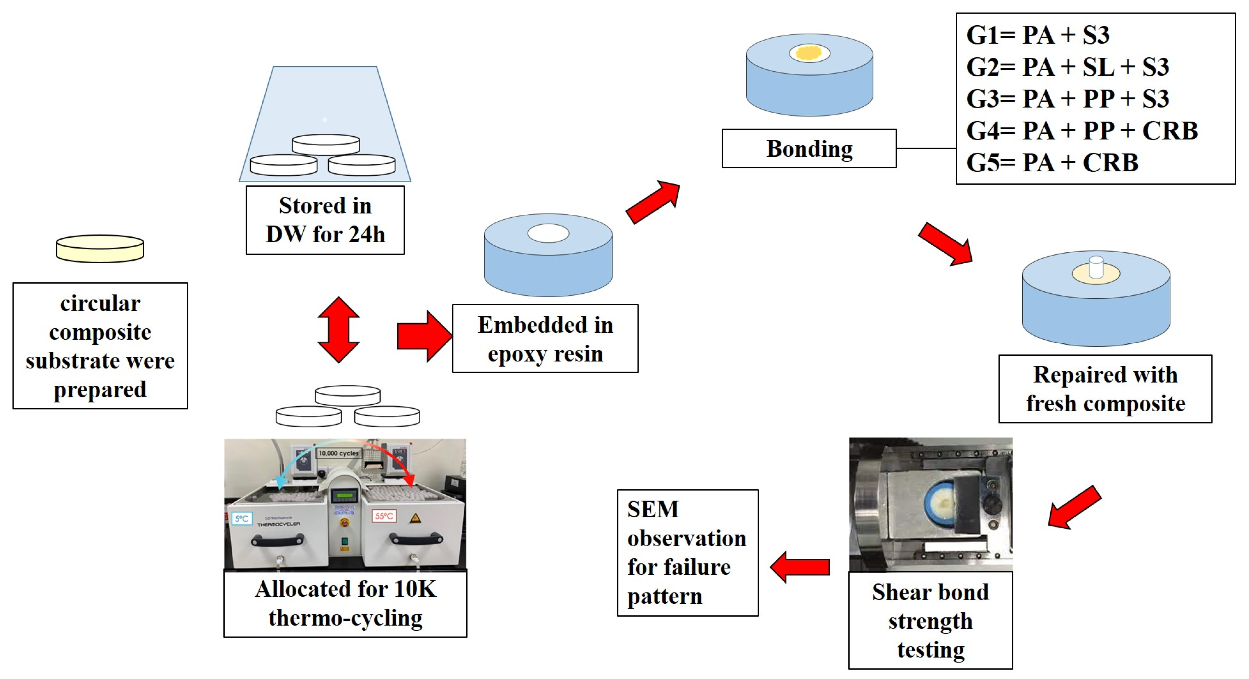 Polymers 17 00513 g001