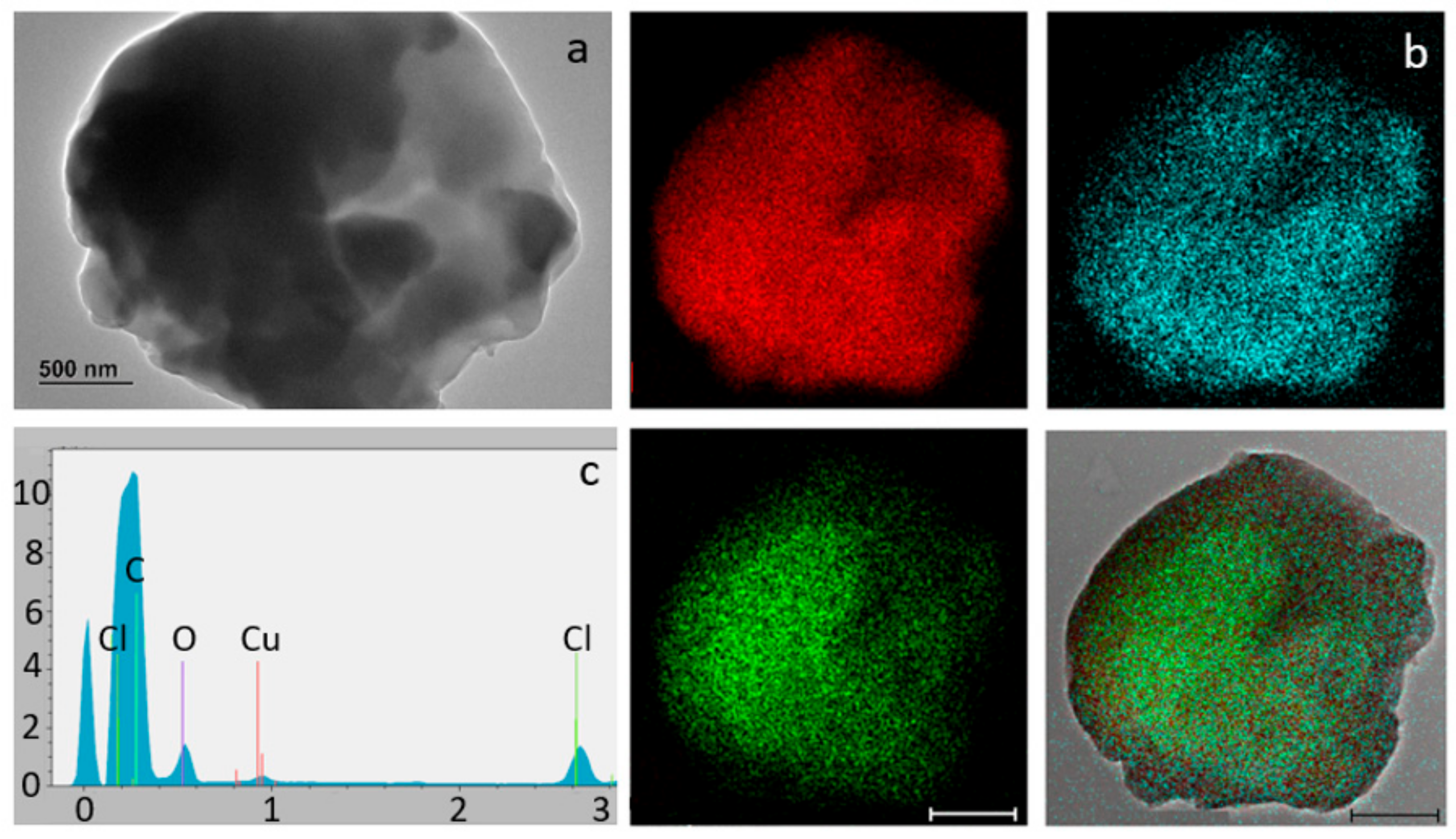 Polymers 17 00526 g005