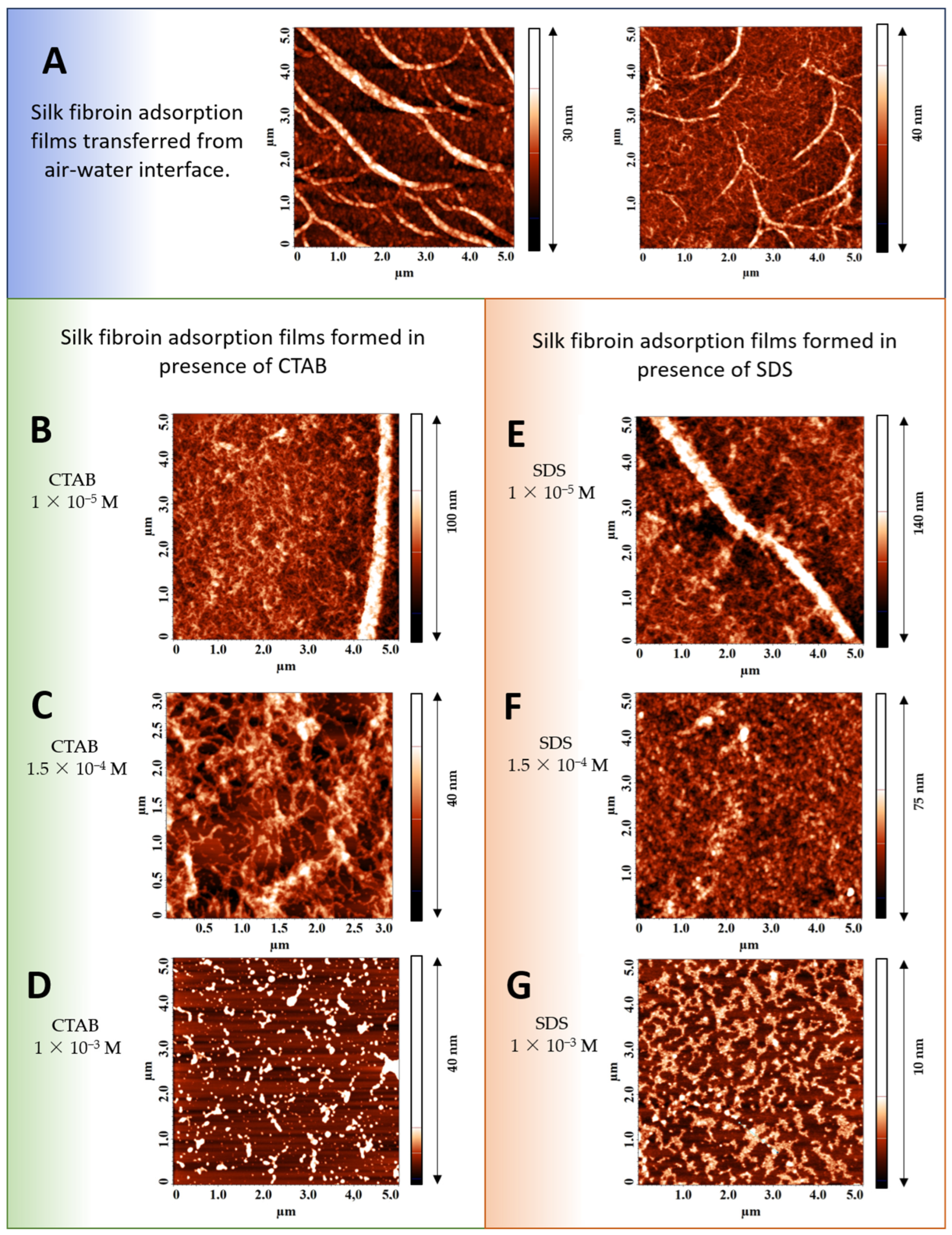 Polymers 17 00529 g005