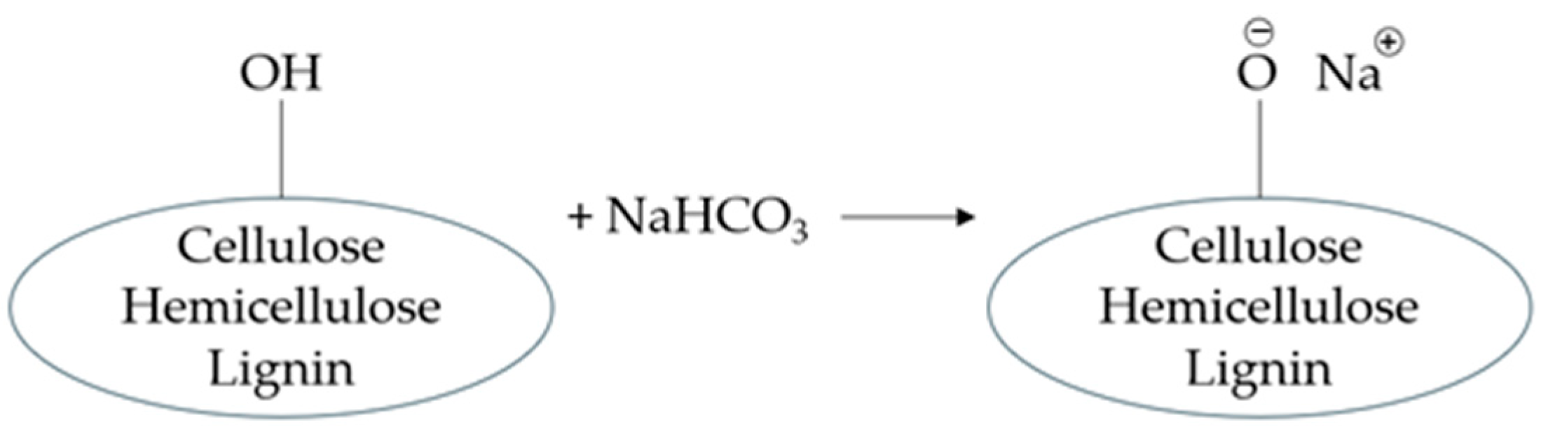Polymers 17 00532 g001