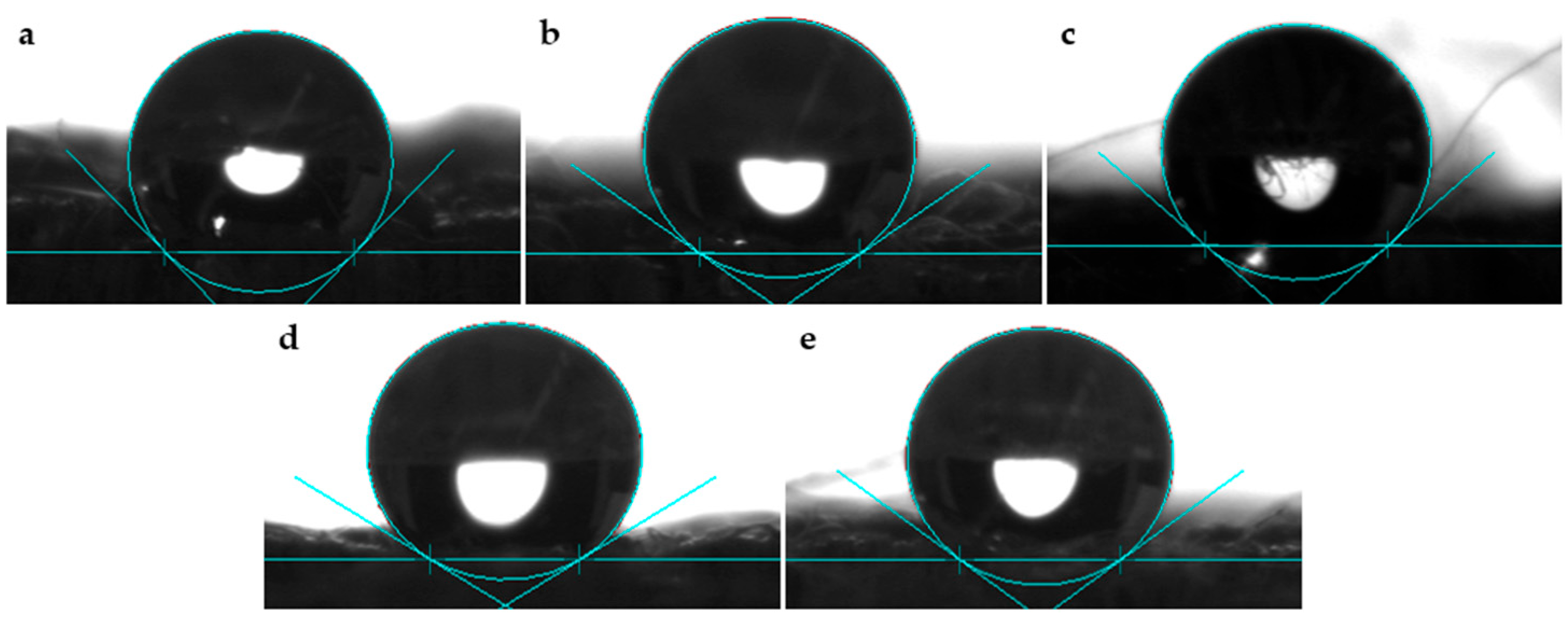 Polymers 17 00532 g002