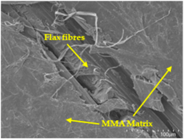 Polymers 17 00532 i001