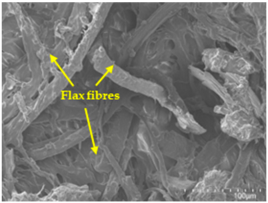 Polymers 17 00532 i002