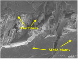 Polymers 17 00532 i003