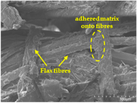Polymers 17 00532 i004