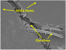 Polymers 17 00532 i005