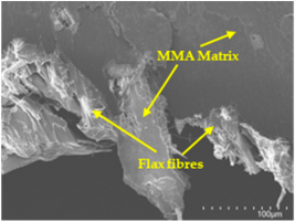 Polymers 17 00532 i006
