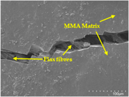 Polymers 17 00532 i007