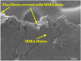 Polymers 17 00532 i008