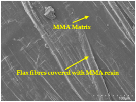 Polymers 17 00532 i009