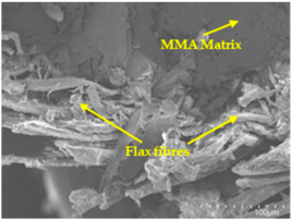 Polymers 17 00532 i010