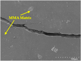 Polymers 17 00532 i011