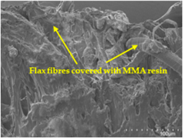 Polymers 17 00532 i012