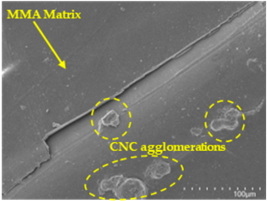 Polymers 17 00532 i013