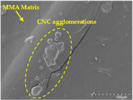 Polymers 17 00532 i015