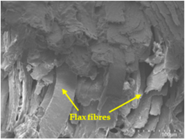 Polymers 17 00532 i016