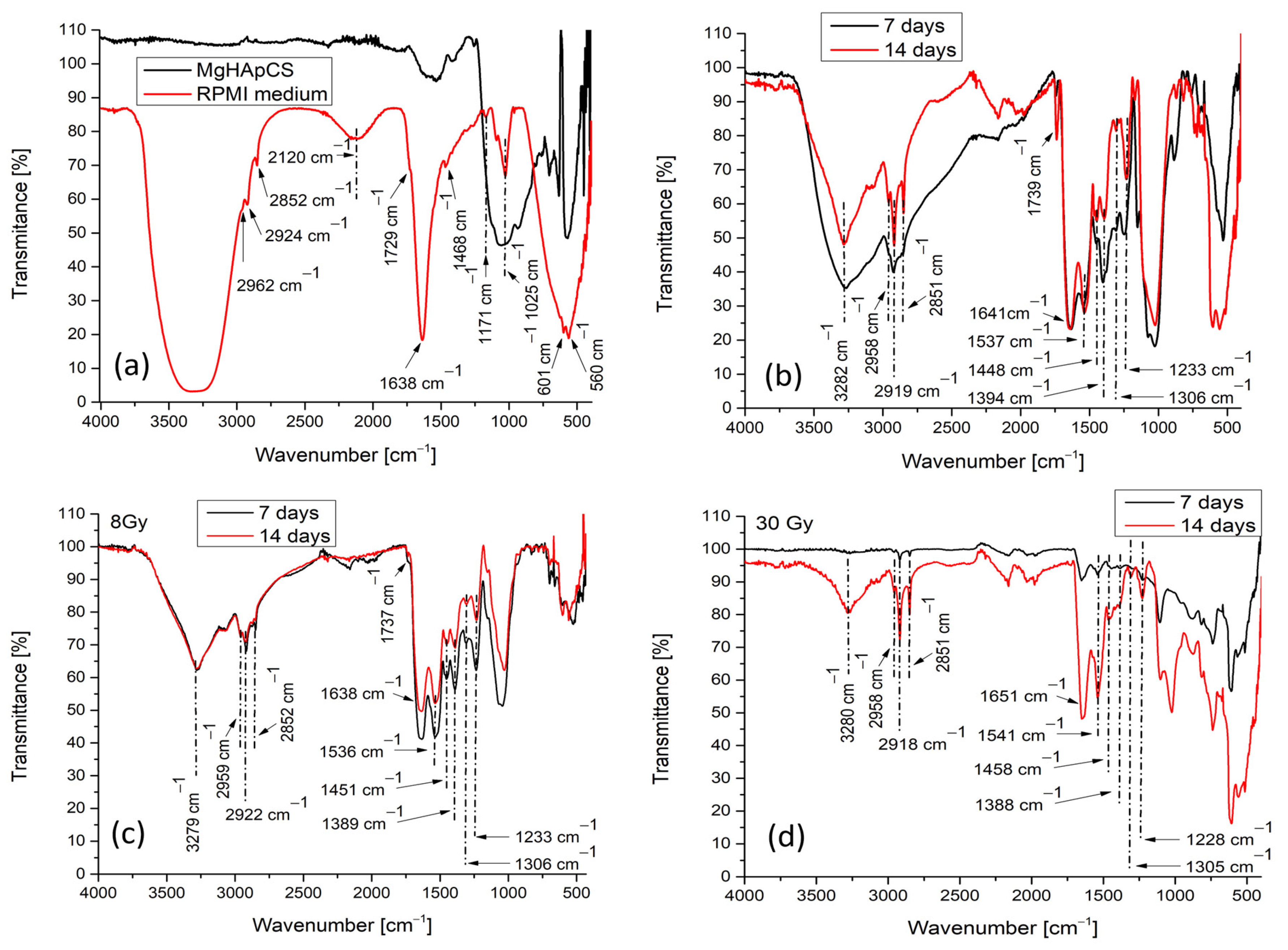 Polymers 17 00533 g001