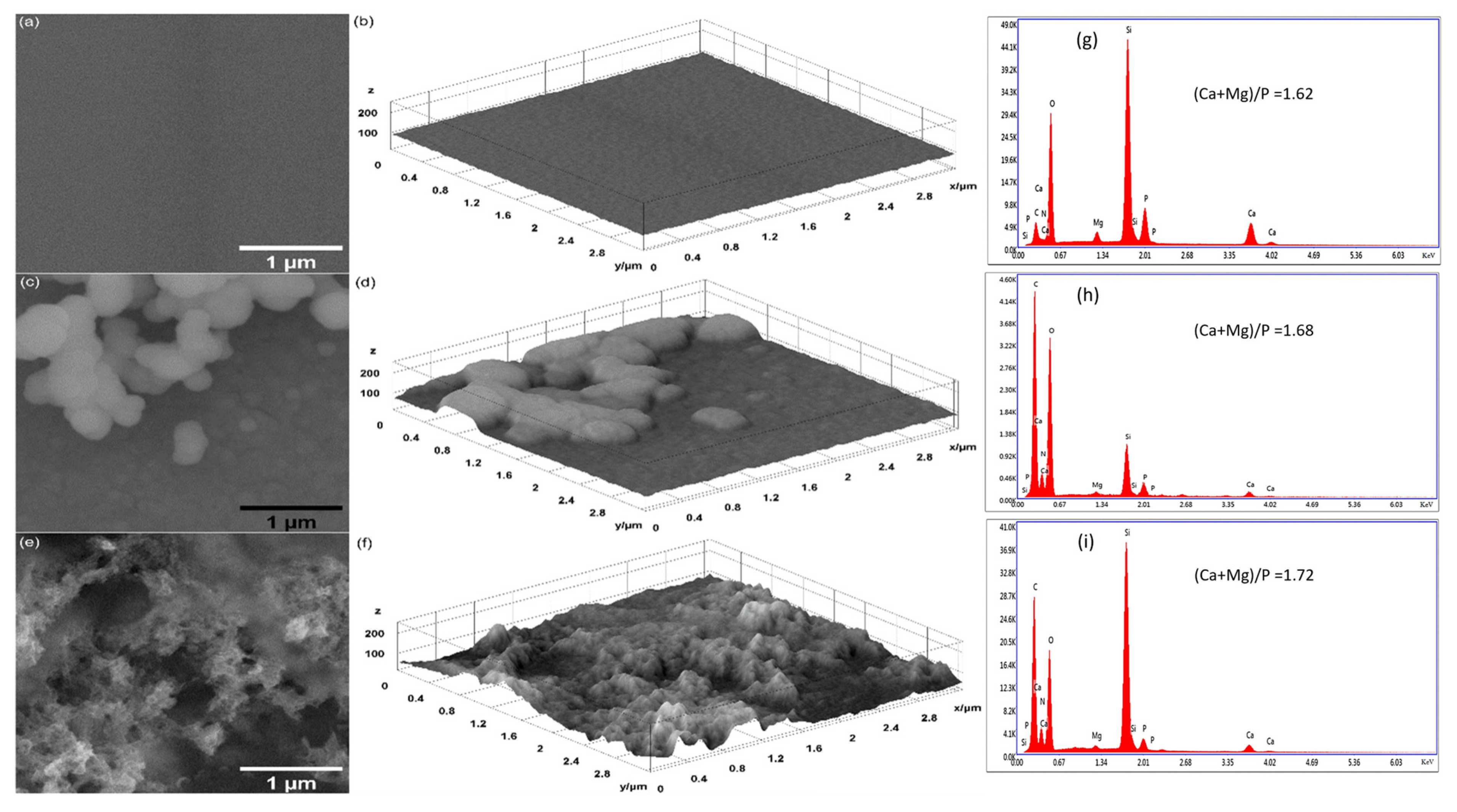 Polymers 17 00533 g003