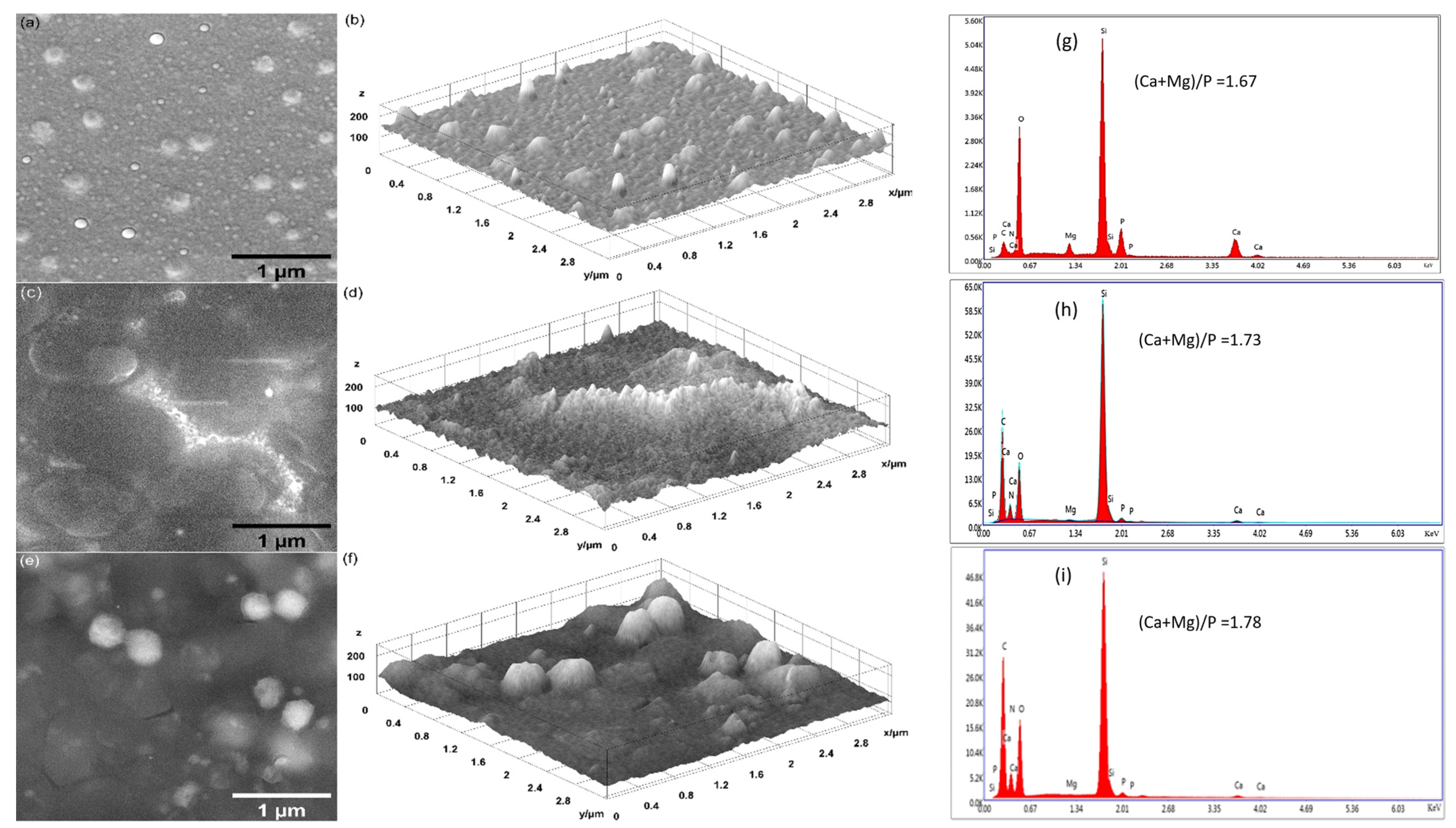 Polymers 17 00533 g005