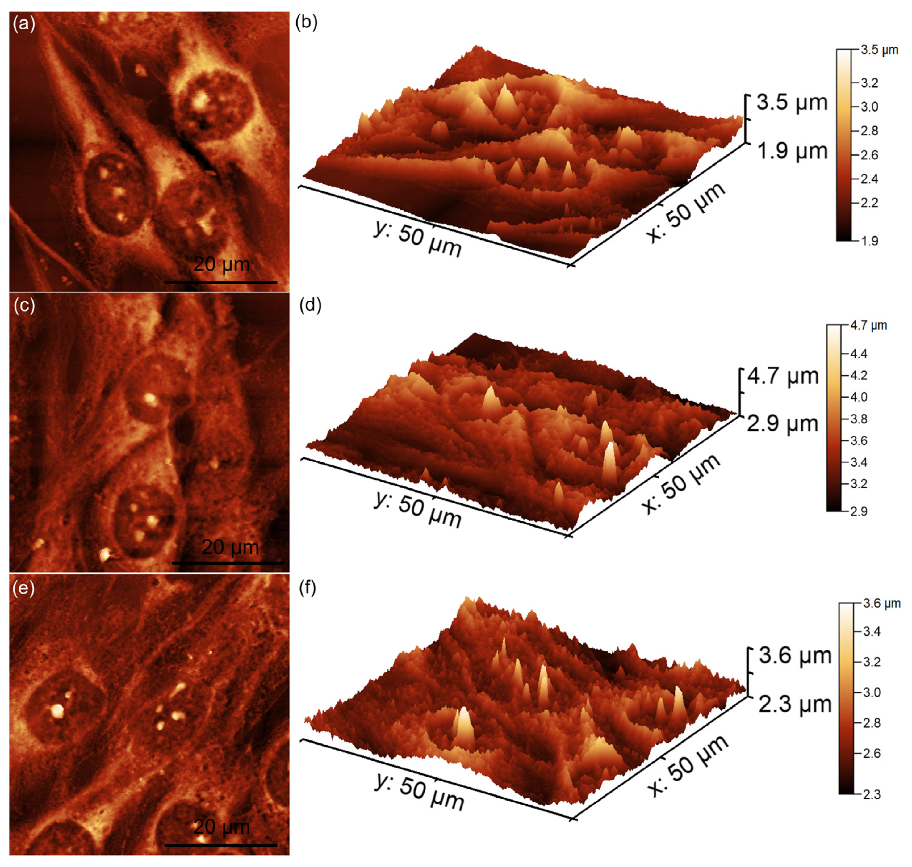 Polymers 17 00533 g008