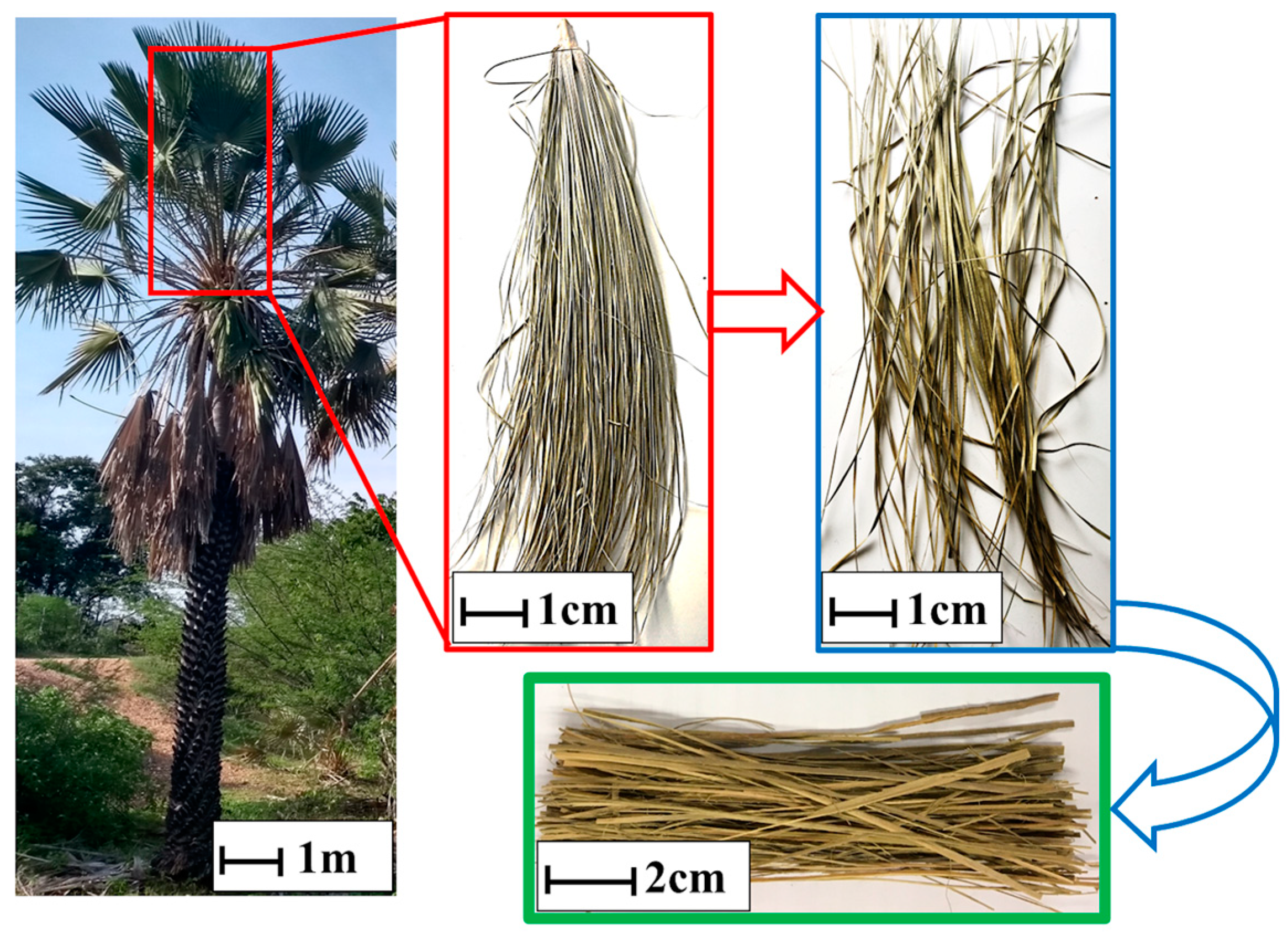Polymers 17 00534 g001