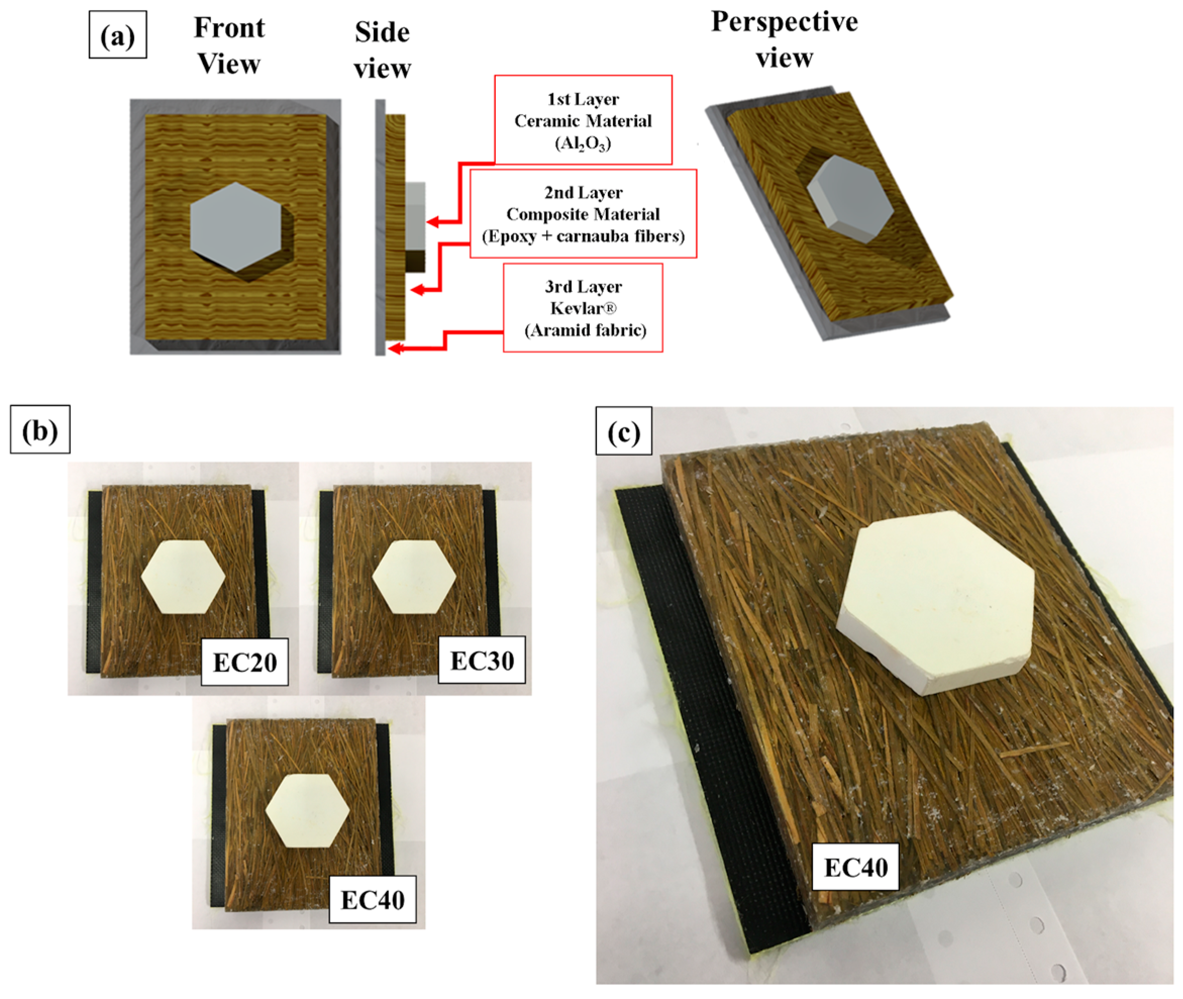 Polymers 17 00534 g003