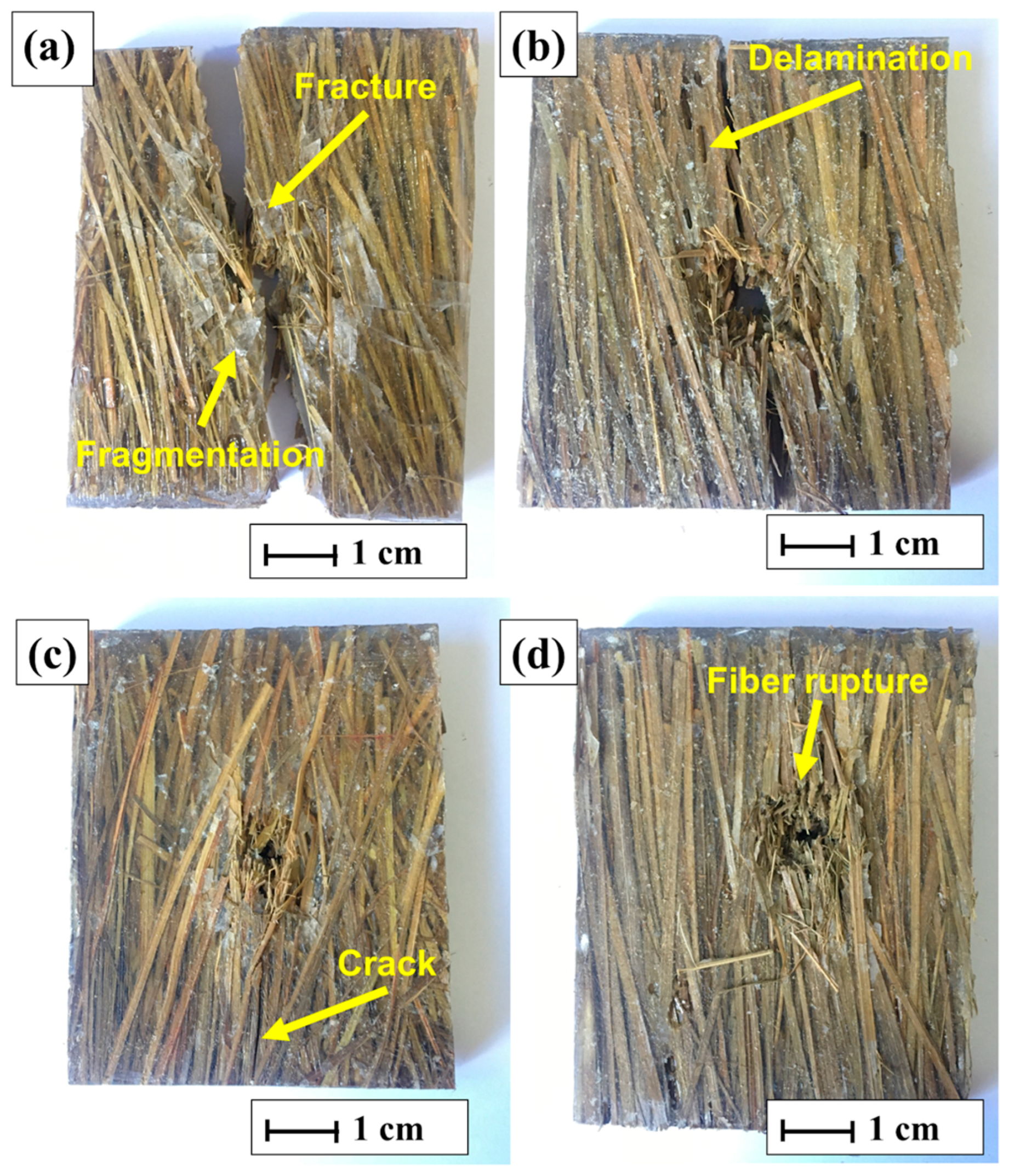 Polymers 17 00534 g010