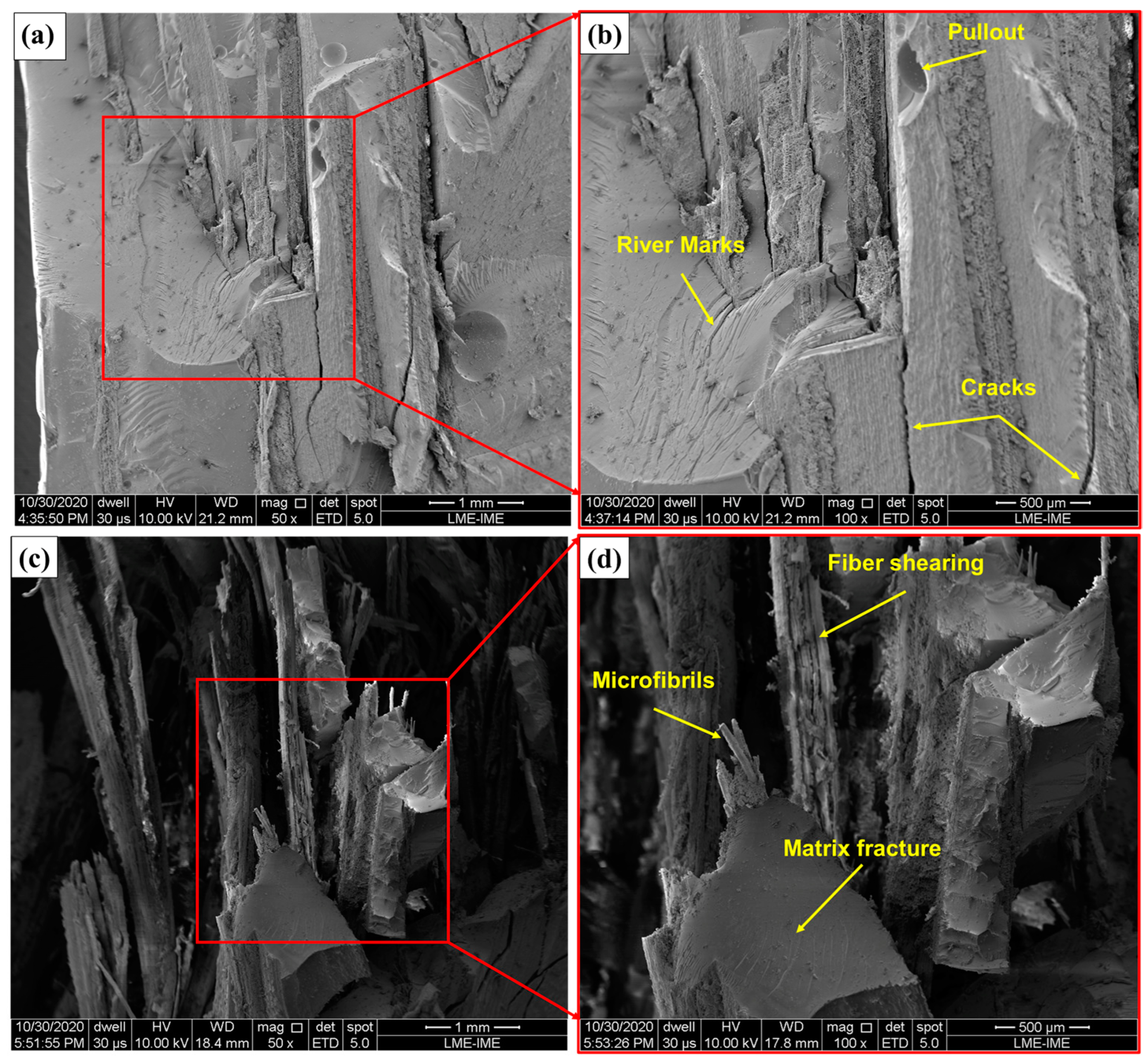 Polymers 17 00534 g011