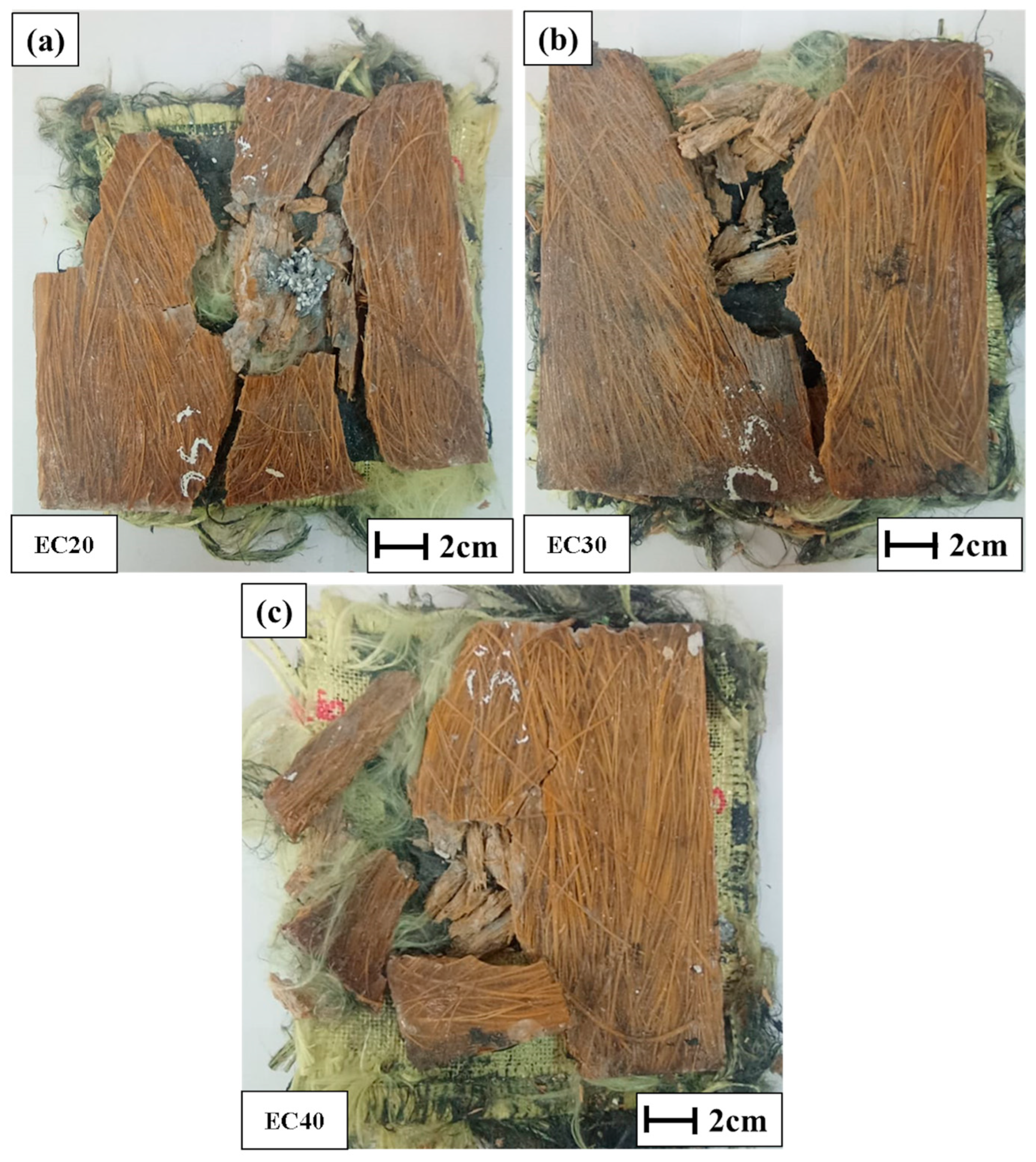 Polymers 17 00534 g013