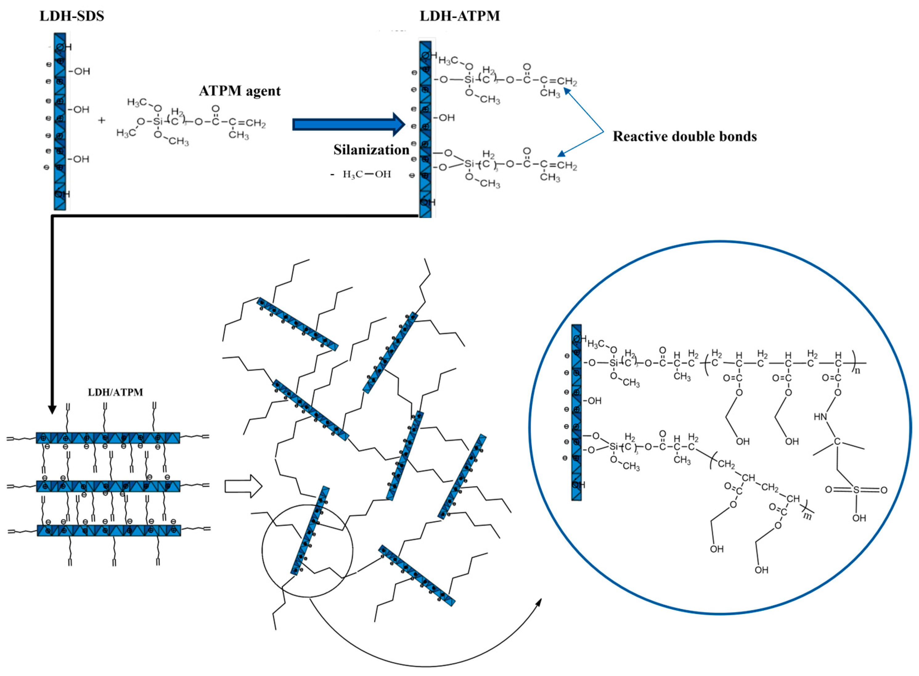 Polymers 17 00536 g002 Polymers 17 00536 g002