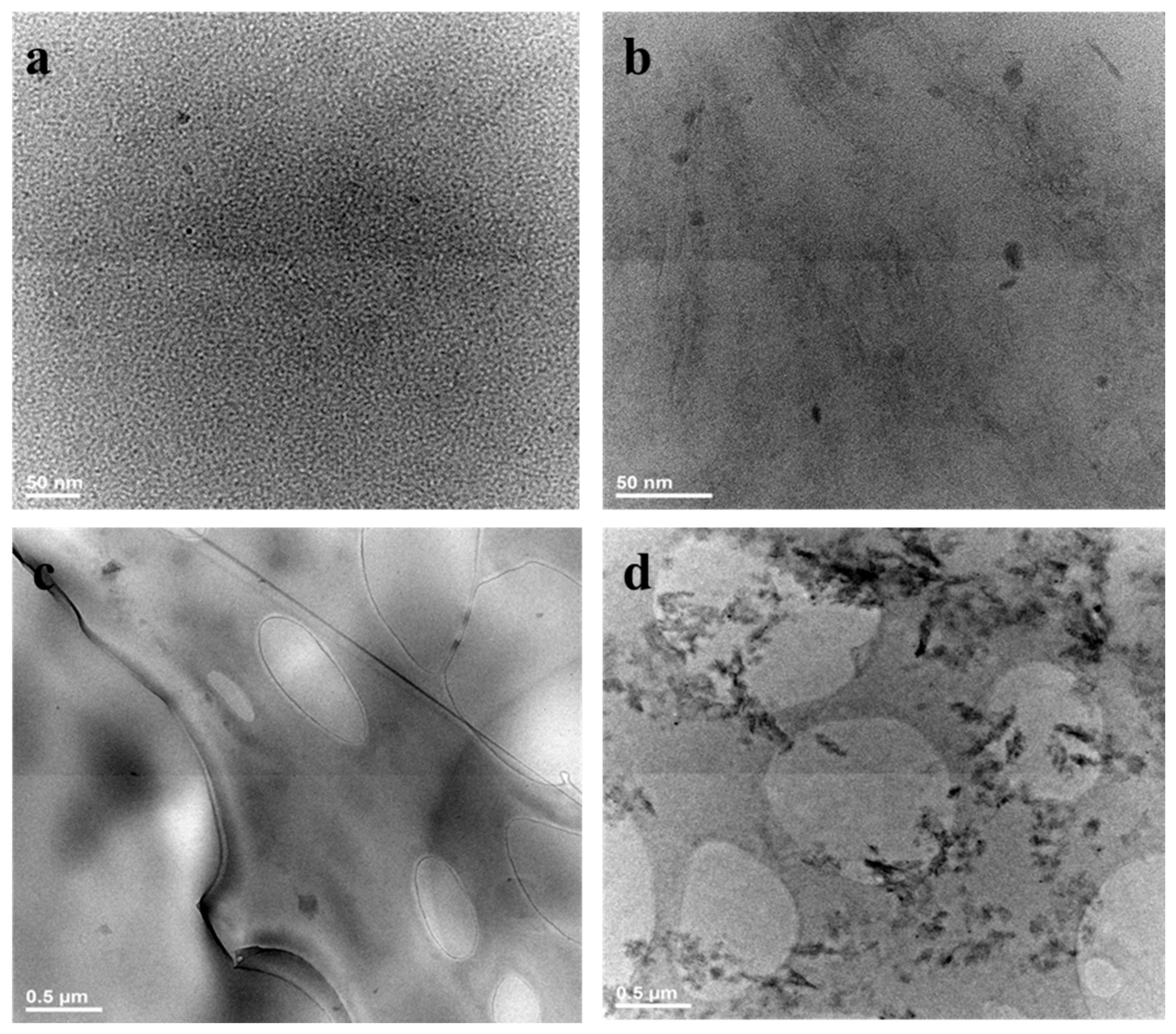 Polymers 17 00536 g009 Polymers 17 00536 g009