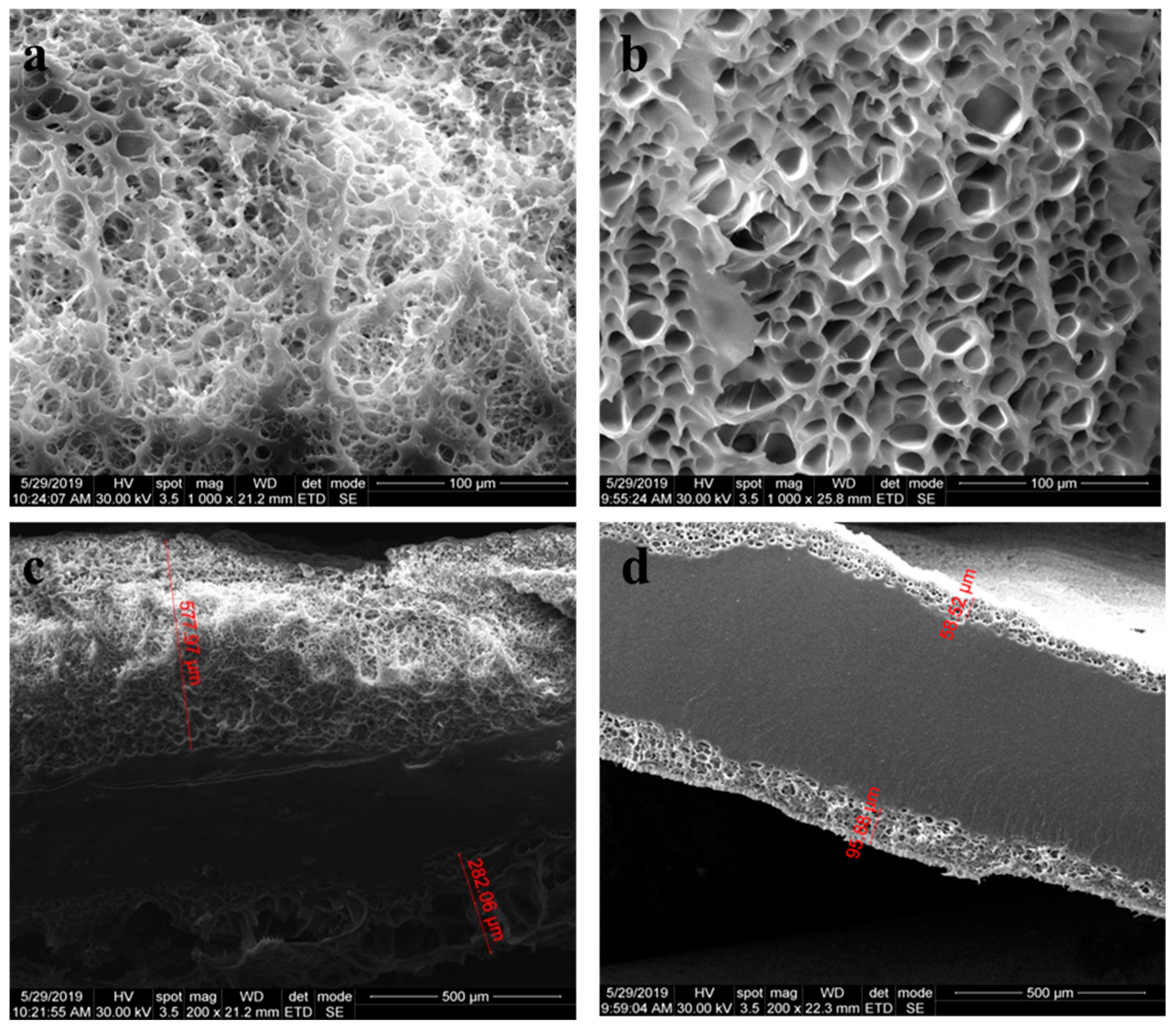 Polymers 17 00536 g010 Polymers 17 00536 g010