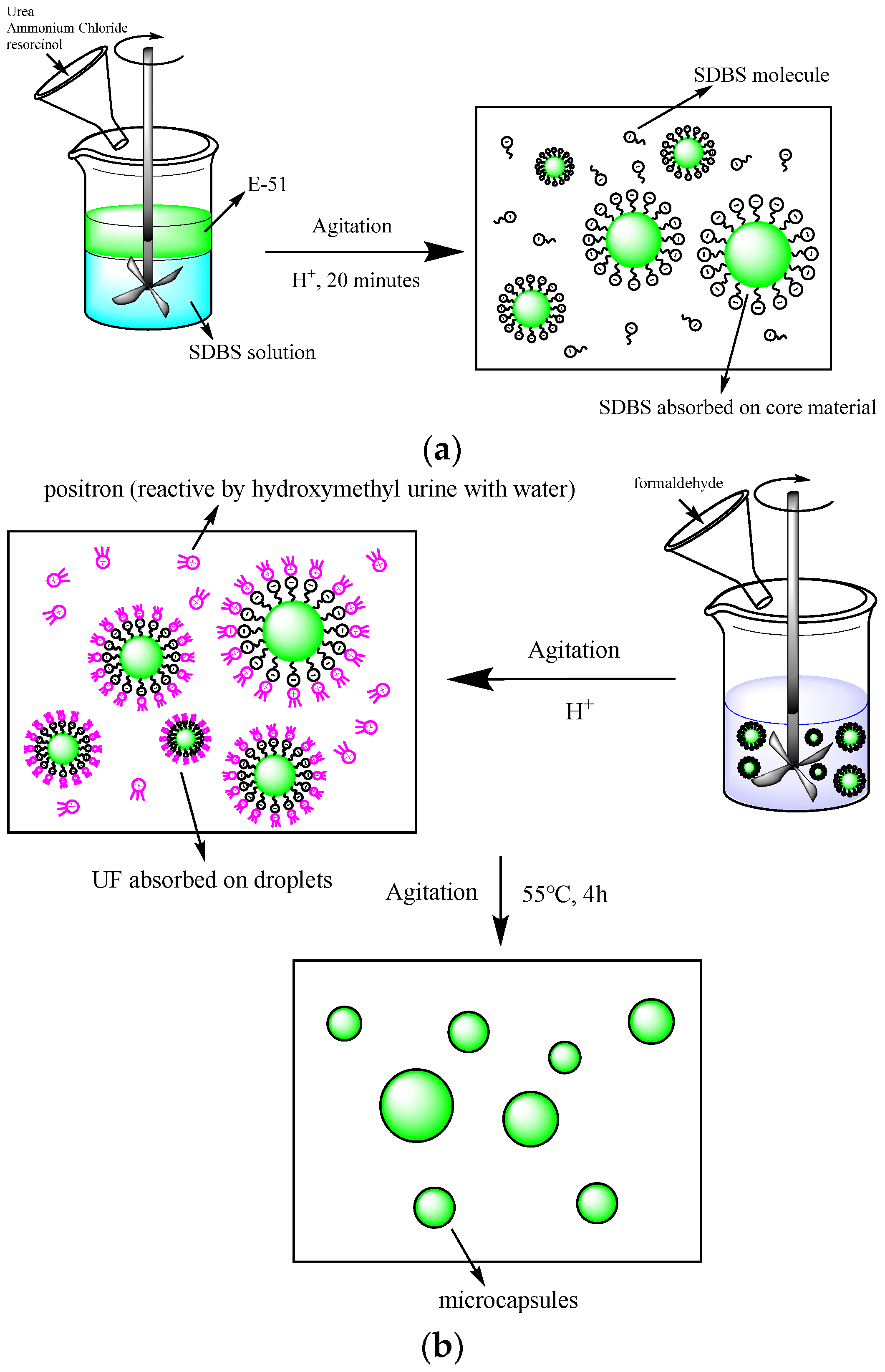 Polymers 17 00538 g002