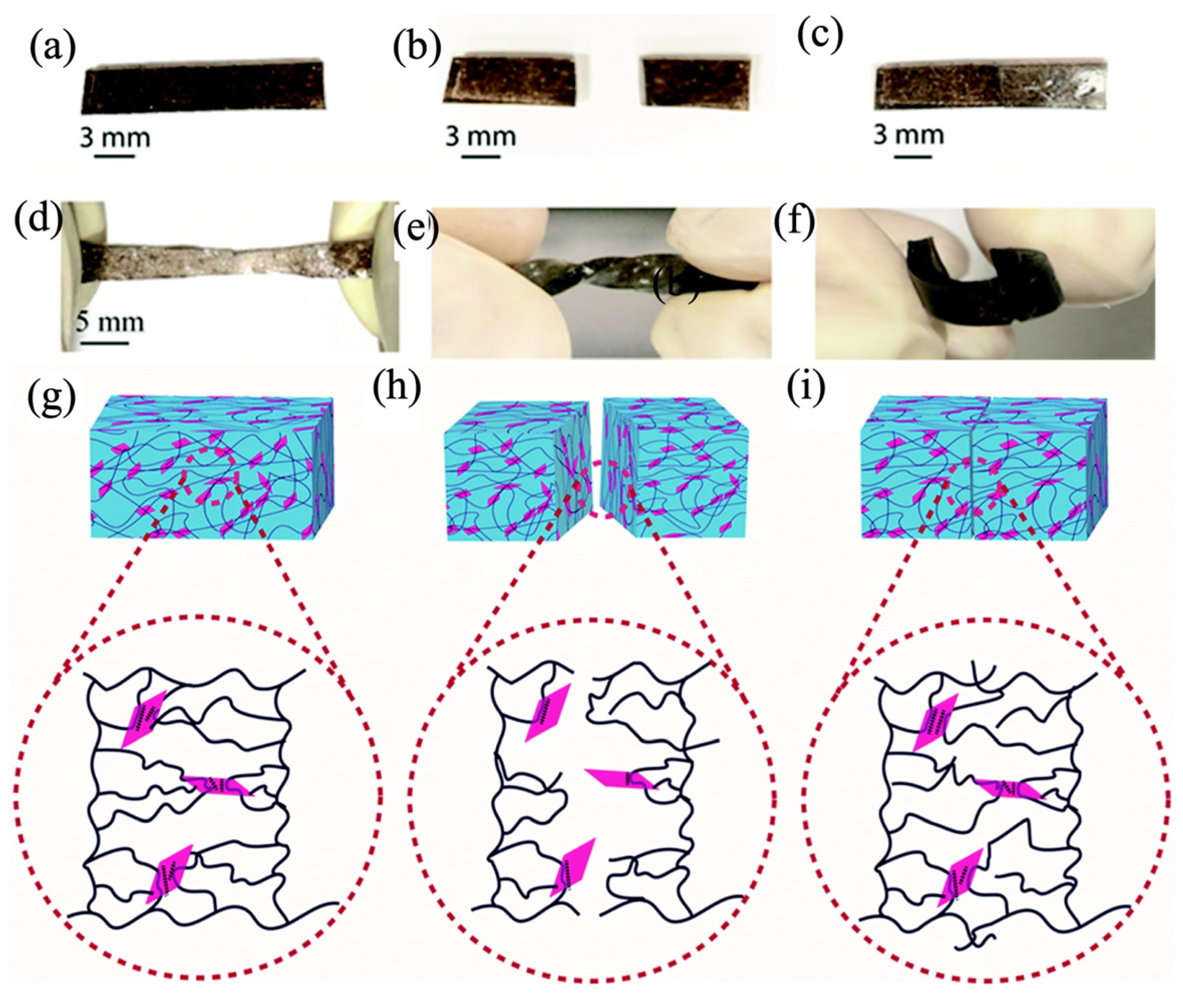 Polymers 17 00542 g003