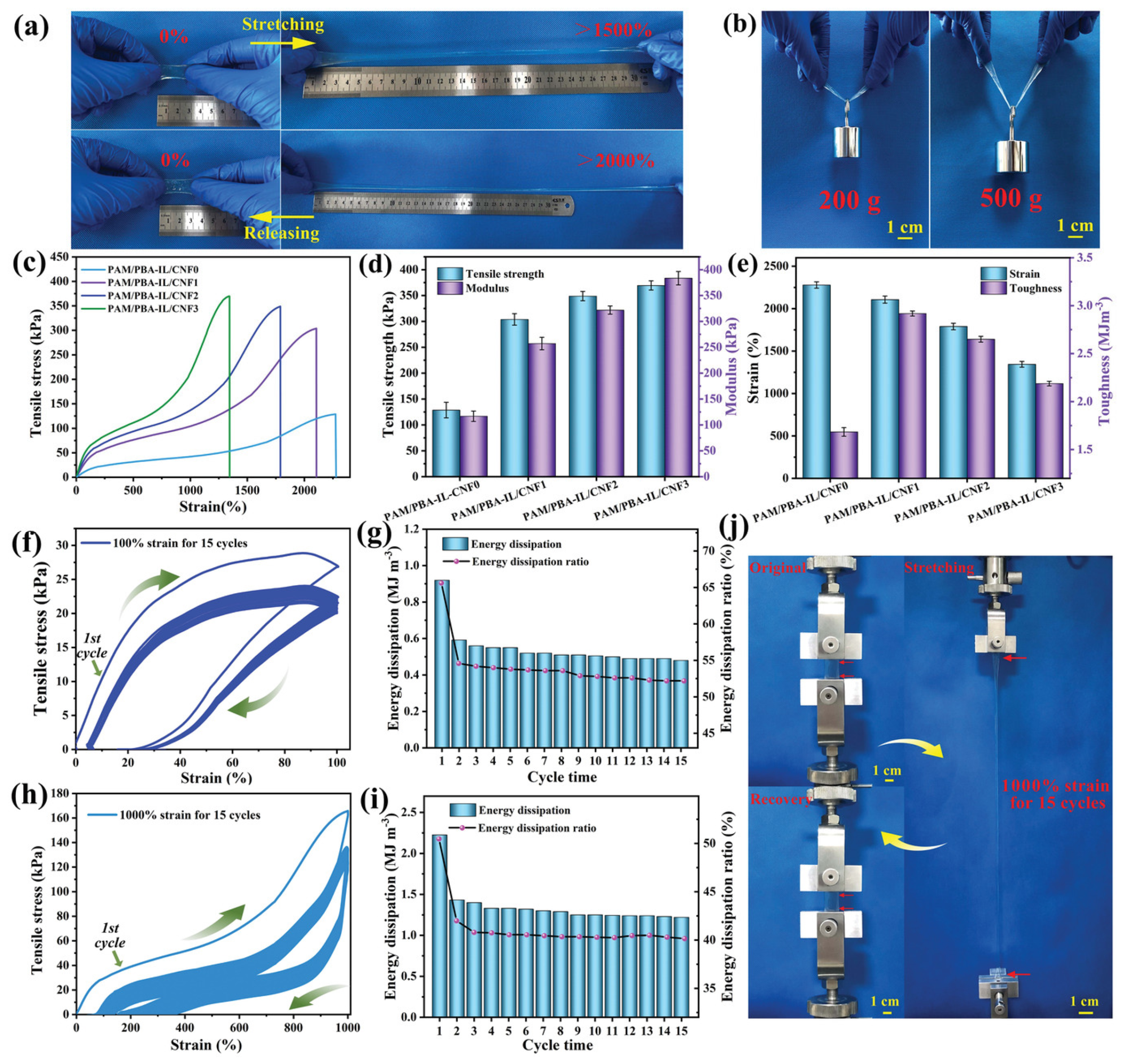 Polymers 17 00542 g005