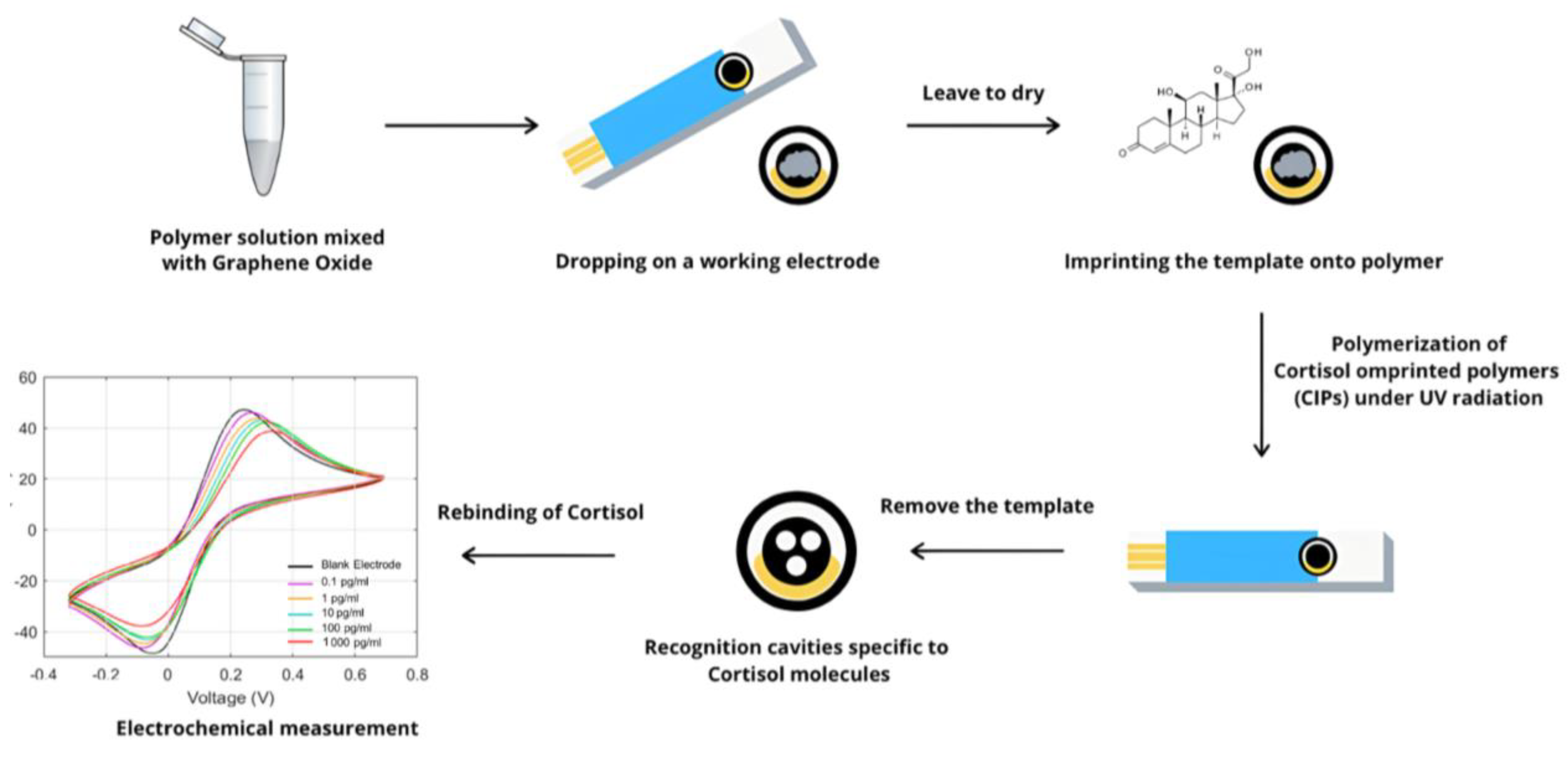 Polymers 17 00545 g001 Polymers 17 00545 g001